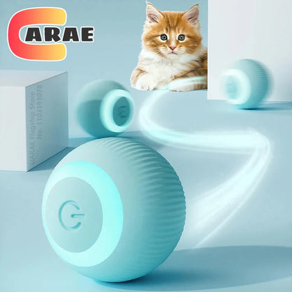 Bola interactiva para gatos