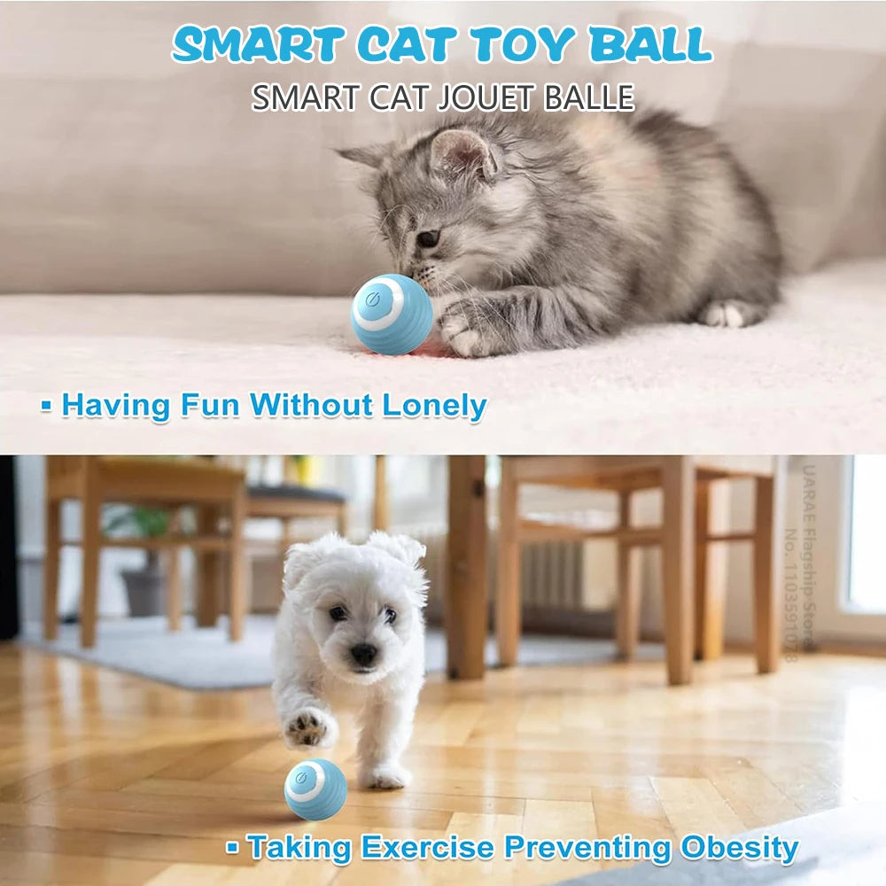 Bola interactiva para gatos